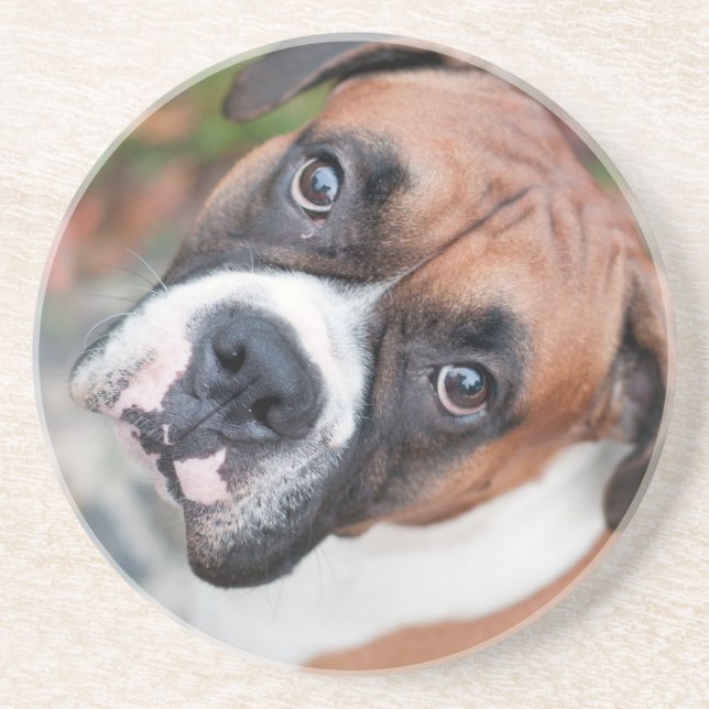 Posavasos Perro lindo del boxeador (Frente)