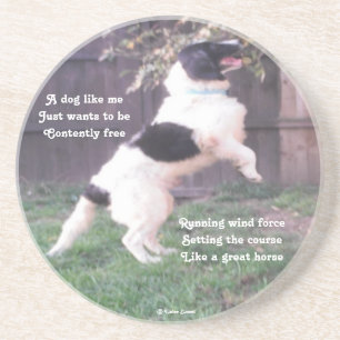 Posavasos Perro Montaña Rusa Caballo Poema De Ladee Basset