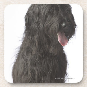 Posavasos Perro negro, Briard