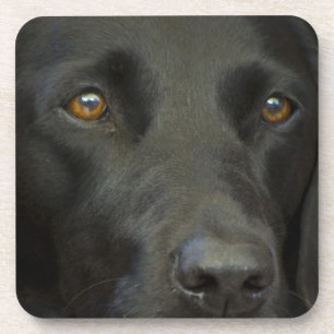 Posavasos Perro negro de Labrador