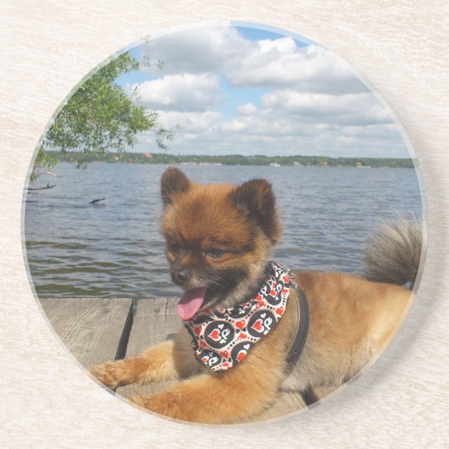 Posavasos Perro picante adorable y peludo (Frente)