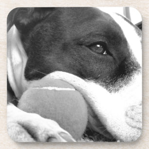 Posavasos perro pitbull negro y blanco con pelota de aspecto