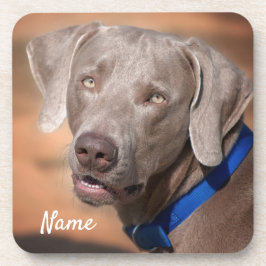Posavasos Perro porcino de Weimaraner personalizado