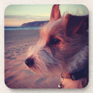Posavasos Perro que hace frente a la playa