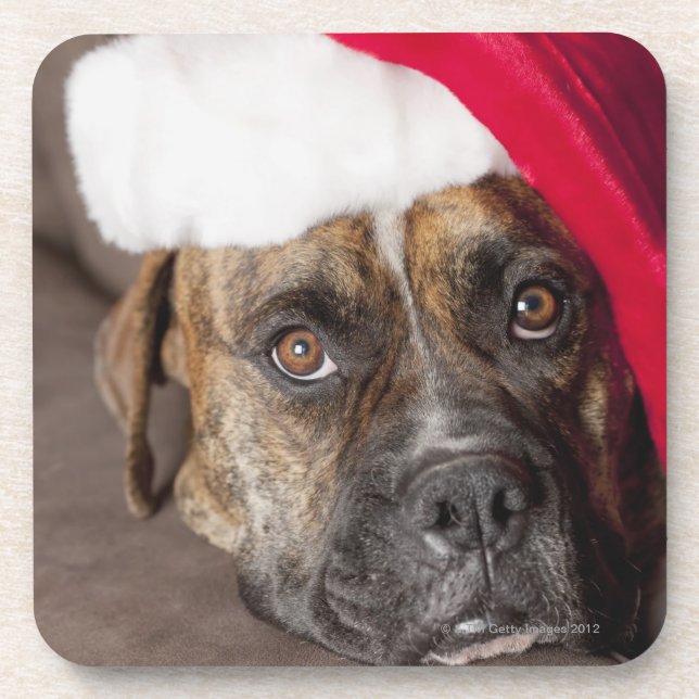 Posavasos Perro que lleva el gorra de Santa (Frente)