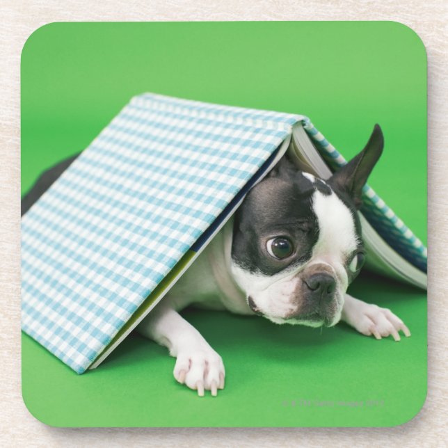 Posavasos Perro que miente debajo del libro (Frente)