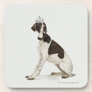 Posavasos Perro que se sienta con una tiara en la cabeza