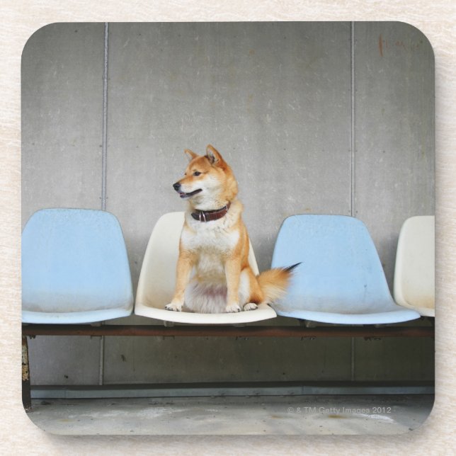 Posavasos Perro que se sienta en banco (Frente)