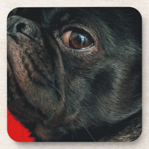 Posavasos perro rojo