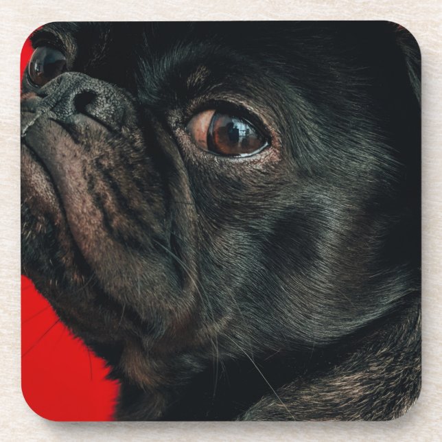 Posavasos perro rojo (Frente)