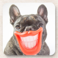 Perro sonriente de las imágenes el | A de Getty