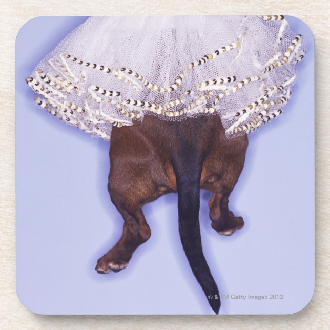 Posavasos Perro vestido para arriba (Frente)
