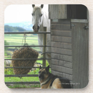 Posavasos Perro y caballo en el rancho en Menton, Francia
