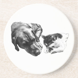 Posavasos Perro y gato monocromos monocromos montando juntos
