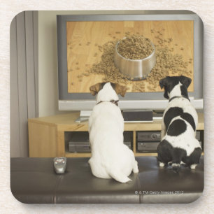 Posavasos Perros que miran el plato del perro con la comida