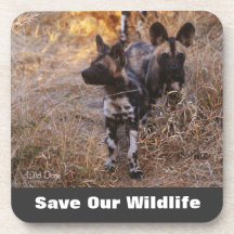 Perros salvajes salvan nuestra vida silvestre