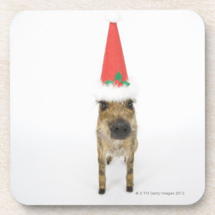 Posavasos Persiga en gorra del navidad