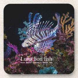 Posavasos Pescado de león Luna, Pterois lunulata,