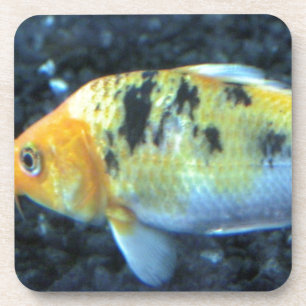 Posavasos Pescado de oro visto