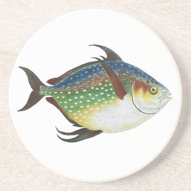 Posavasos Pescado Opah Tropical, Animal Acuático Marino Vint (Frente)