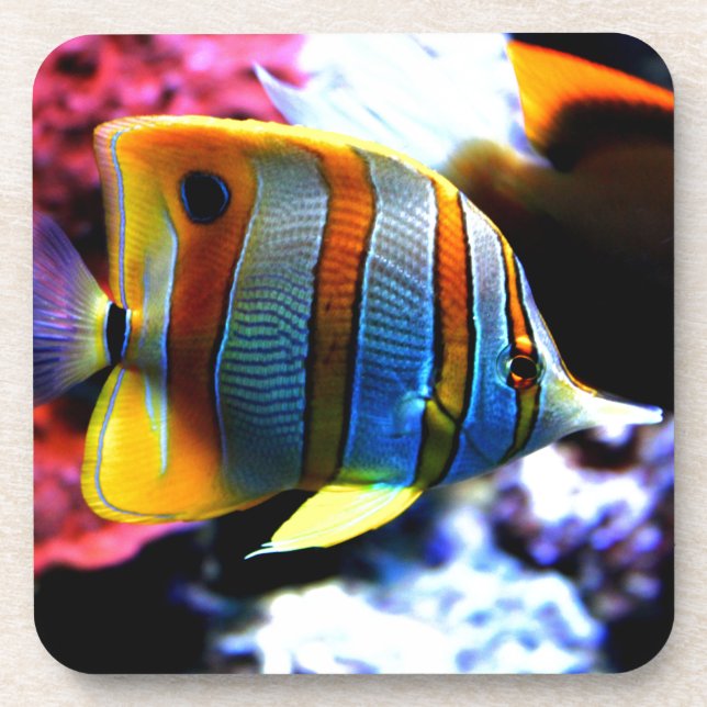 Posavasos Pescados (Frente)