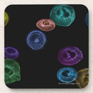 Posavasos Pescados de jalea coloreados multi en fondo negro