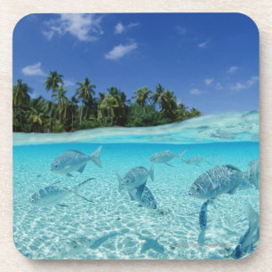 Posavasos Pescados en el mar