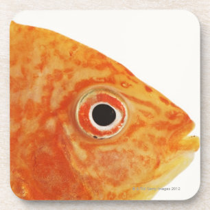 Posavasos Pescados rojos del diácono