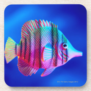 Posavasos Pescados tropicales