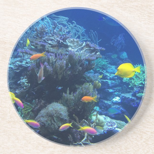 Posavasos Pescados tropicales amarillos (Frente)
