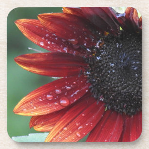 Posavasos Pétalos De Girasol Rojo Y Caídas De Lluvia