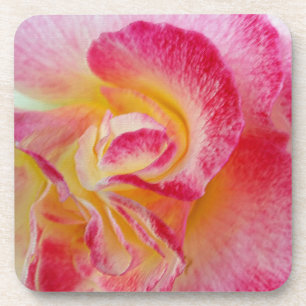 Posavasos pétalos rosados amarillos