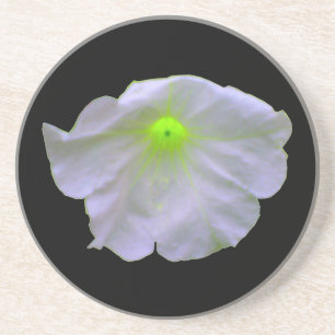 Posavasos Petunia Green Glow Coasters