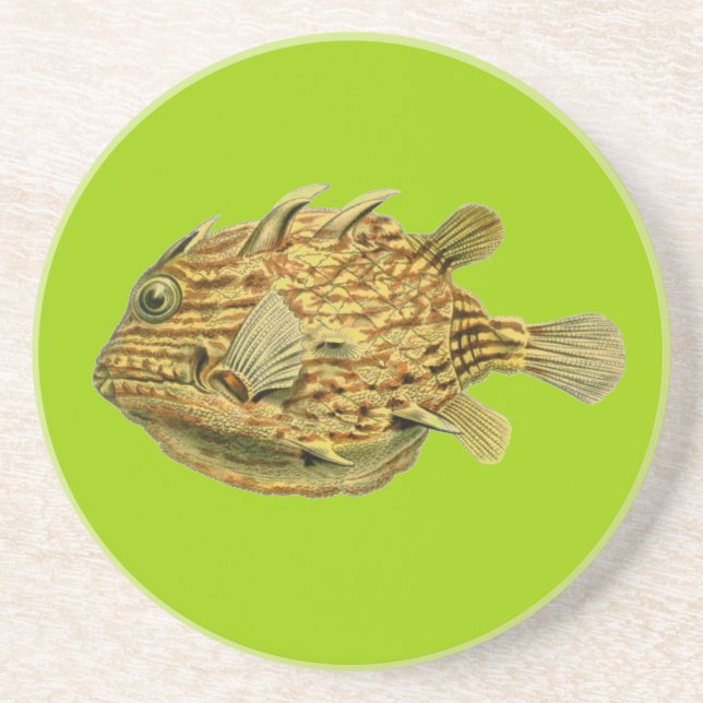 Posavasos Pez Haeckel (Frente)