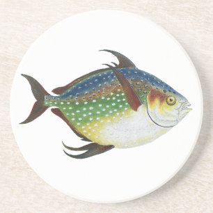 Posavasos Pez Opah Tropical, Animal Acuático Marino Vintage