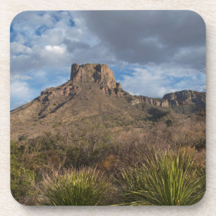 Posavasos Pico Casa Grande, Cuenca Chisos, Big Bend