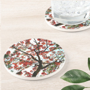 Posavasos Piedra flamígera real de la poinciana
