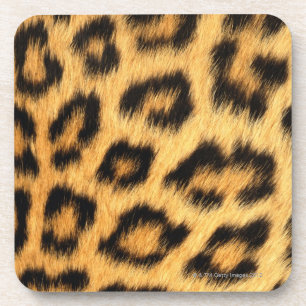 Posavasos Piel de Jaguar