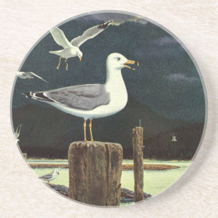Posavasos Pier de gaviota vintage, animales de aves marinas