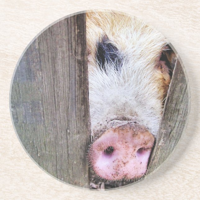 POSAVASOS PIGS (Frente)