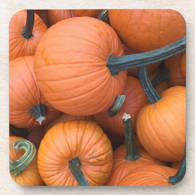 Posavasos ¡Pila de calabaza! (Frente)
