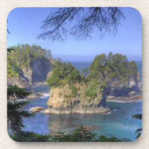 Posavasos Pilas de mar, tierras tribales de la nación Makah,