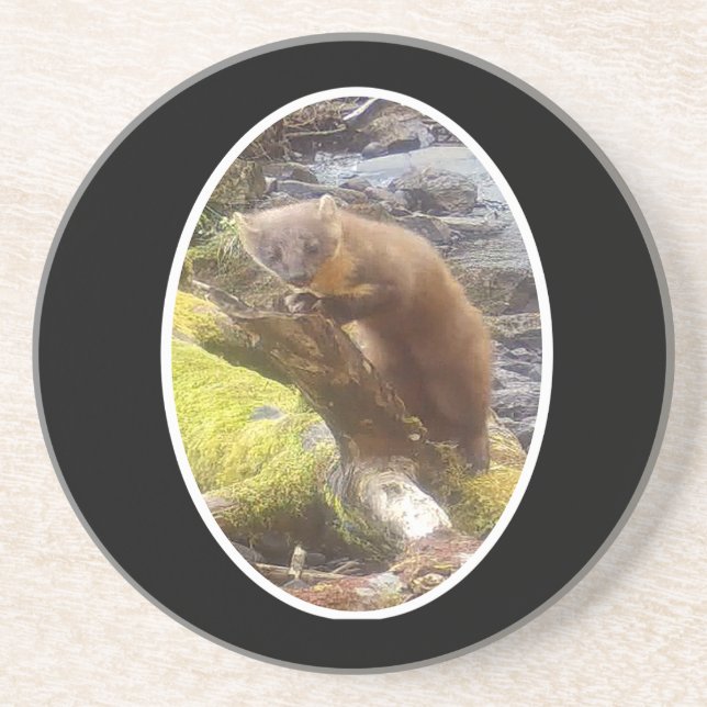 Posavasos Pine Marten en la montaña rusa Log Sandstone (Frente)