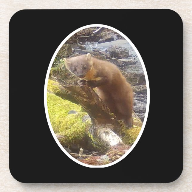 Posavasos Pine Martín en Log Hard Plastic 6 Coaster Set (Frente)