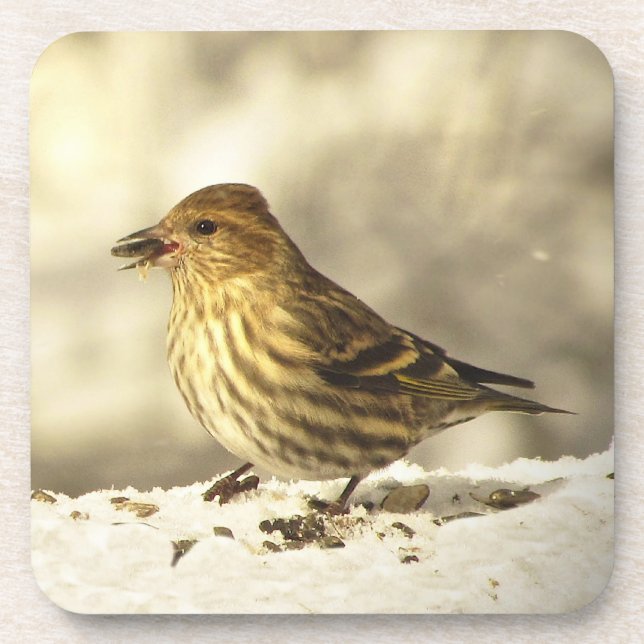 Posavasos Pine Siskin (Frente)