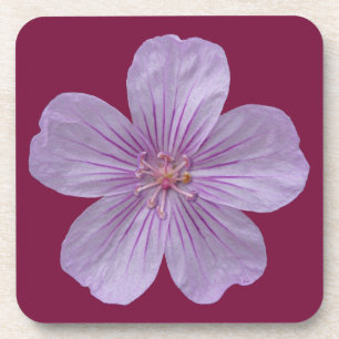 Posavasos Pineywoods Geranium #1