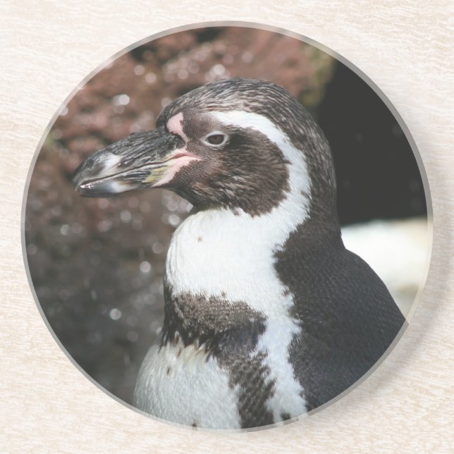Posavasos Pingüino (Frente)