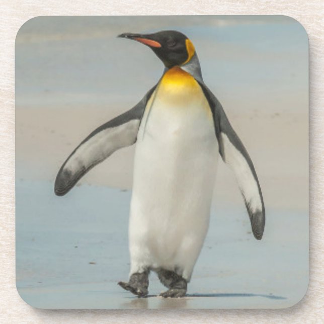 Posavasos Pingüino caminando en la playa (Frente)