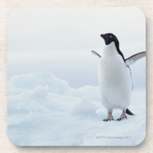 Posavasos Pingüino de Adelie, la Antártida