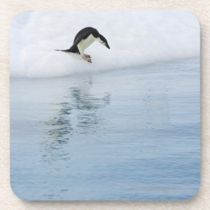 Posavasos Pingüino de Gentoo (Pygoscelis Papua)